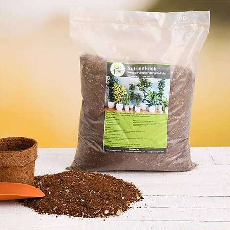 Soil