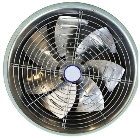 Fan