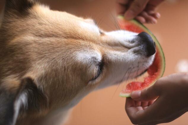 Snacking