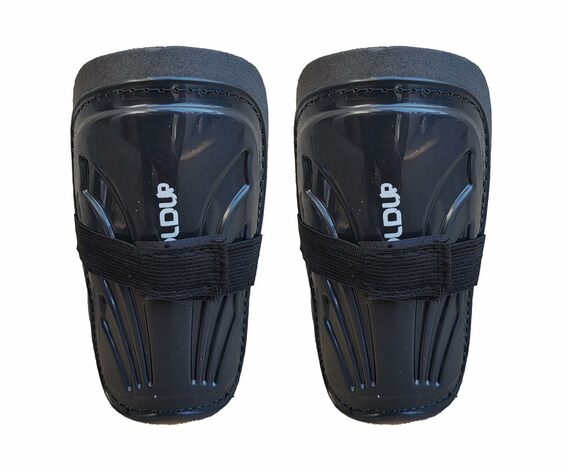Shinguard