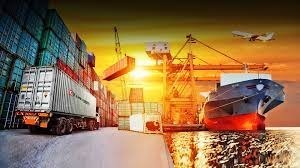 Import & Export