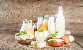 Manufacturing of Milk Bi-products