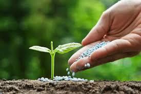Bio-Fertilizers
