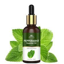 Mint Oils