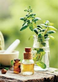 Mint Oils