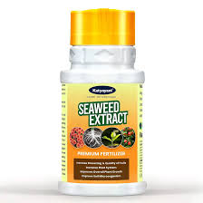 Seaweed Extract