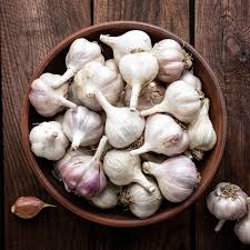 Organic Pulses & Fresh Garlic