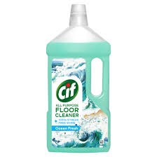 Floor Cleaner