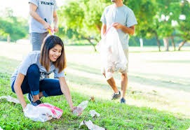 environment services