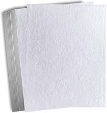 Cotton Paper & Tree Free Paper