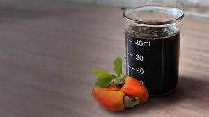 Cashew Nut Shell Liquid