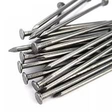 Stainless Steel Nail