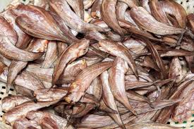 all kinds of Dried and Salted marine food.