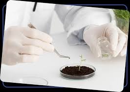 Environmental Testing