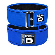 Lifting Belt