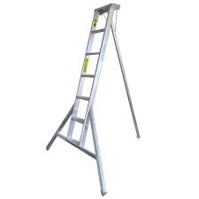 Orchard Ladder