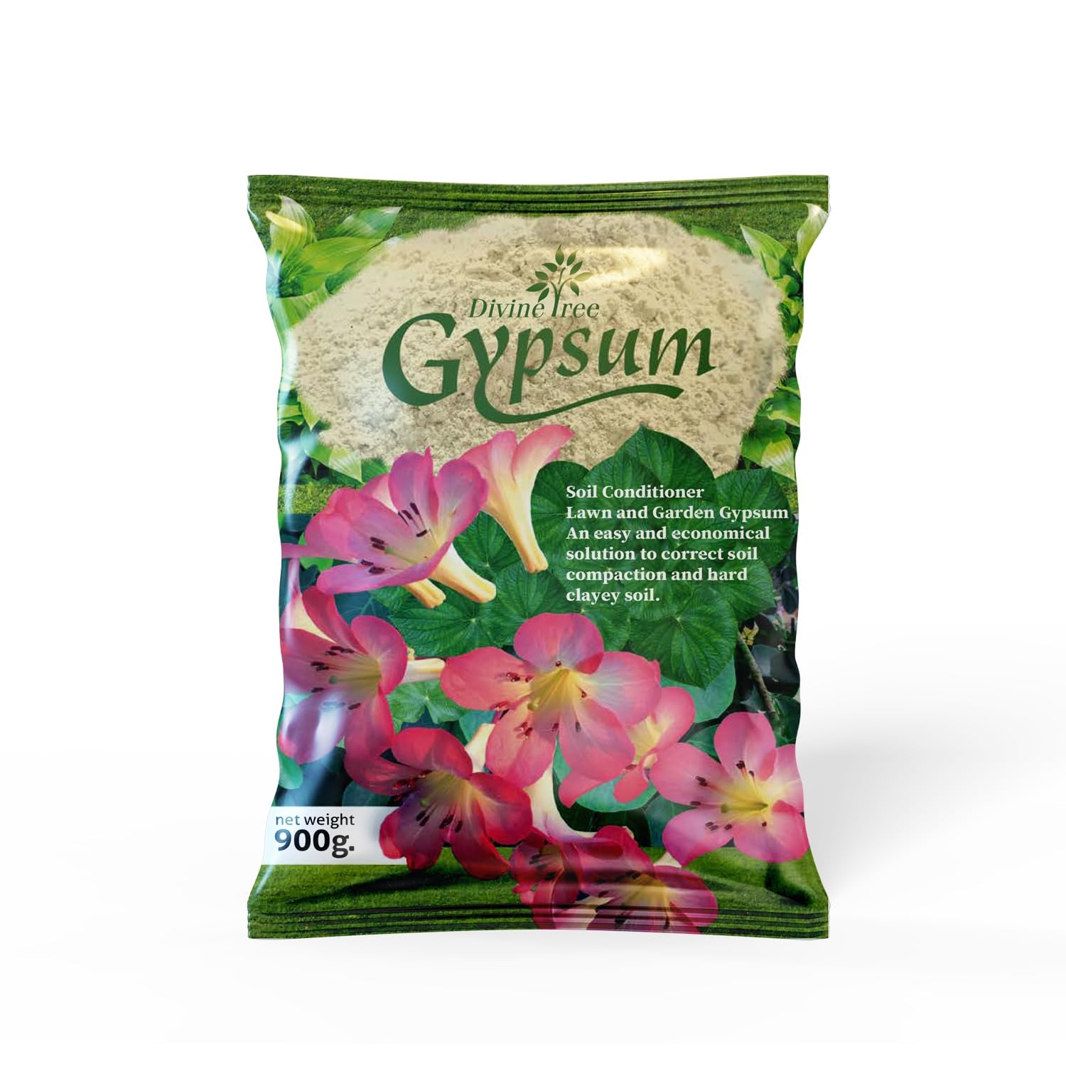 Gypsum Plant