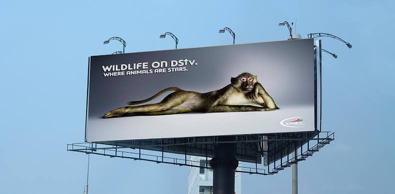 Outdoor Advertising & Media Advertising.