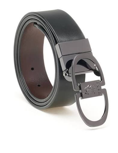 Belt pix