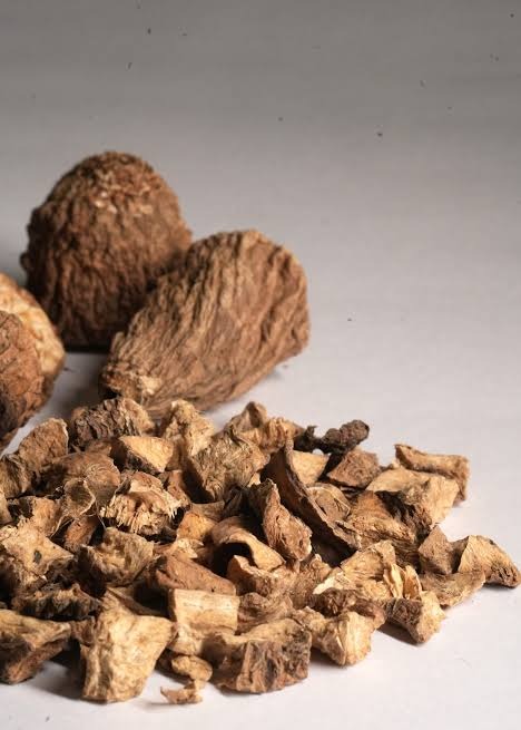Dried Chicory Cube
