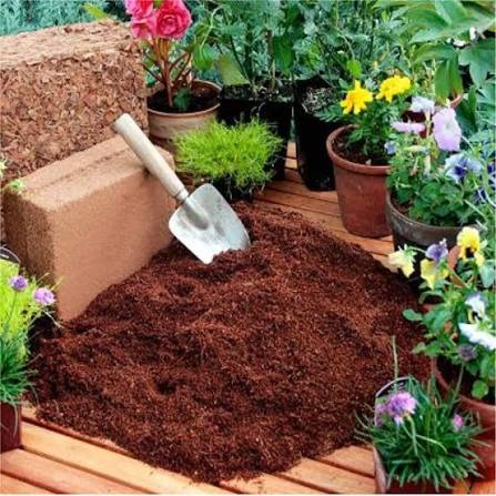 Cocopeat Blocks
