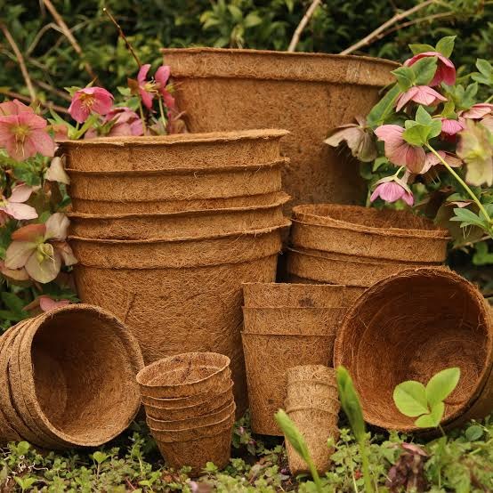 Coco Coir Pot