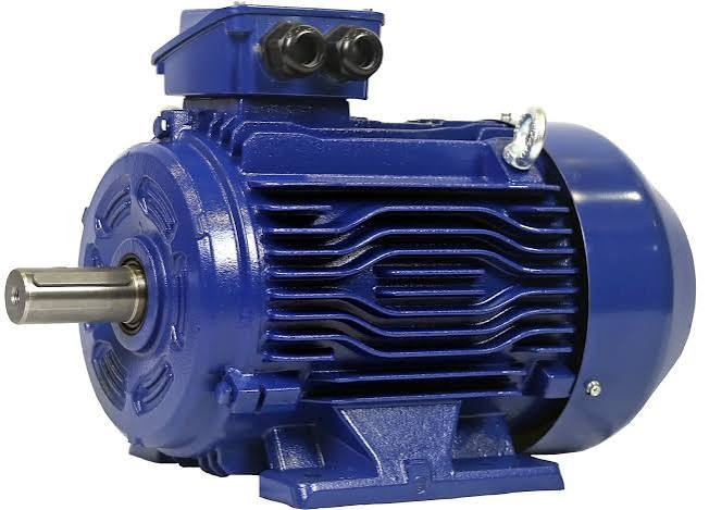 3 Phase Electric Motor