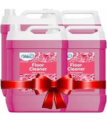 Floor Cleaner