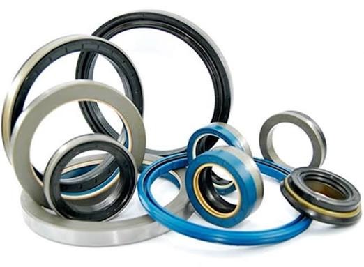 Oil Seals 06