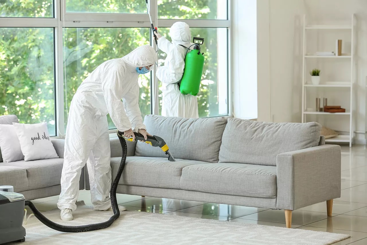 Pest Control