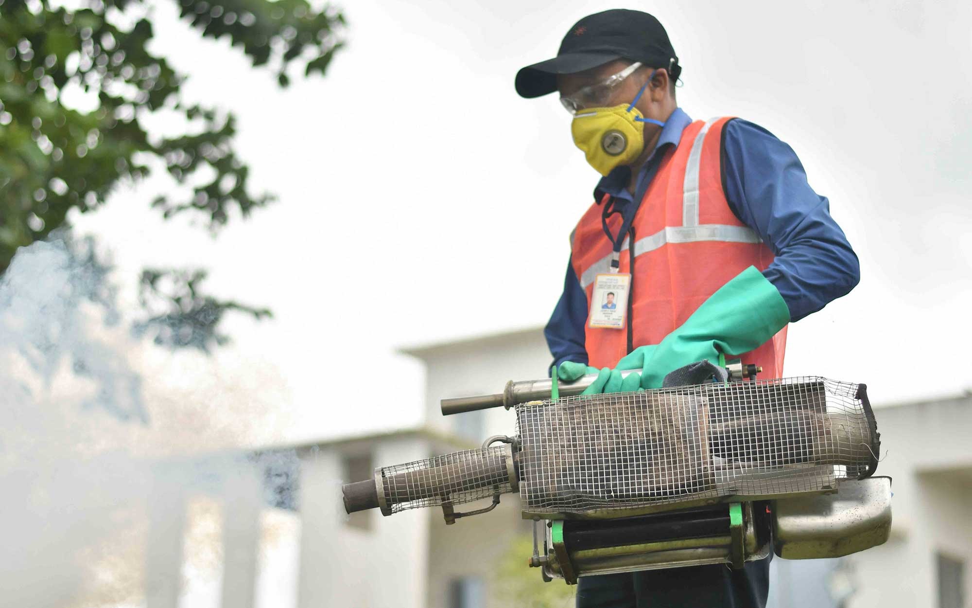 Pest Control