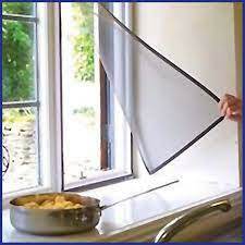 Window