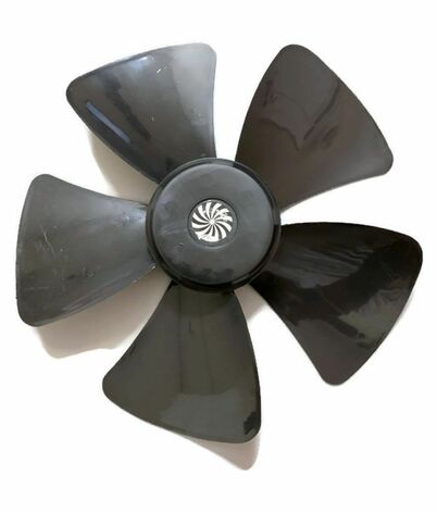 Fan