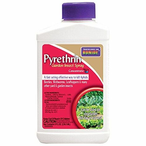 Pesticides