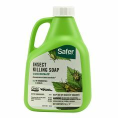 Pesticide