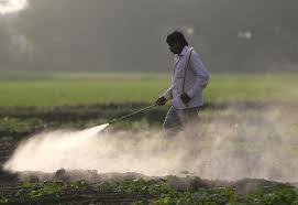 pesticides